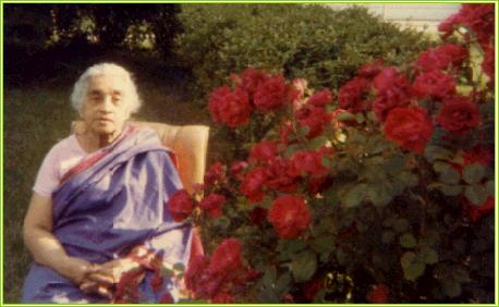 amachi_photo_rose1.jpg (25541 bytes)