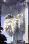 wtc-collapseing1tmb.jpg (1607 bytes)